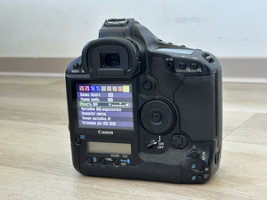 Canon EOS 1Ds Mk 3 (6 foto / 10)