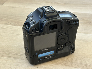 Canon EOS 1Ds Mk 3 (9 foto / 10)