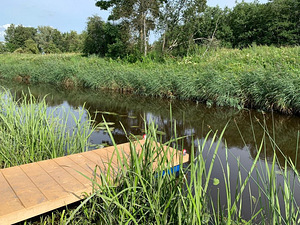 Vanakupja, Läti, Märjamaa vald, Raplamaa (3 foto / 12)