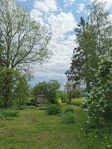 Vanakupja, Läti, Märjamaa vald, Raplamaa (5 foto / 12)
