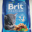Briti kassipoegade toit (foto #4)