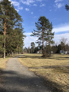 Virmalise tn 4, Oru, Kohtla-Järve, Ida-Virumaa (10 foto / 10)