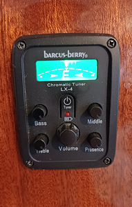 Kitarr, elektroakustiline Washburn (3 foto / 10)