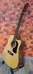 Kitarr, elektroakustiline Washburn (4 foto / 10)