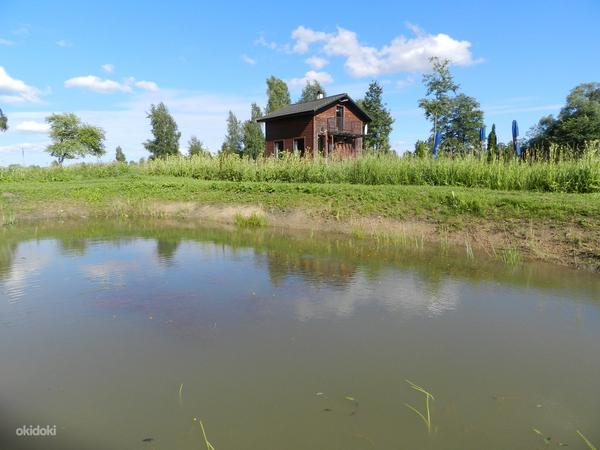 Баня-домик 10 км АРЕНДА от Тарту (фото #2)
