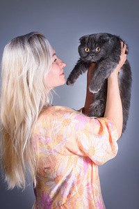 Šoti fold kass Bonya Scottish fold (3 foto / 10)