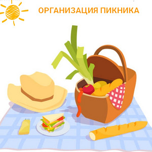 Piknik (6 foto / 6)