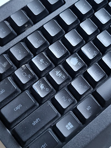 Keyboard RAZER Cynosa Lite RZ03-0274 (2 foto / 5)