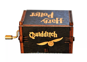 Muusikakast Harry Potter (5 foto / 5)