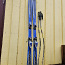 Горные лыжи rossignol 170 см + лыжные палки (фото #1)