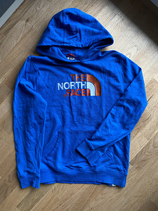 Hoodie the north face