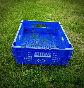 Plastkast 600 × 400 × 200 mm (uus) (1 foto / 1)