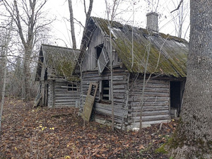 Õle tn 3, Varinurme, Lüganuse vald, Ida-Virumaa (4 foto / 4)