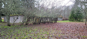 Mõisa allee 2/3, Kolga, Kuusalu vald, Harjumaa (10 foto / 25)