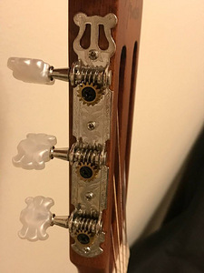 Kitarr ESC-105 + ümbris (3 foto / 5)