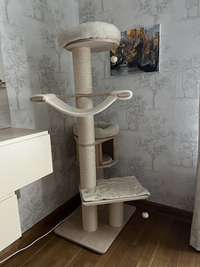 Кошачий дом (1 фото из 2)