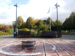 Kotka tn 1, Kristiine, Tallinn, Harjumaa (8 foto / 12)
