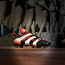 Football Shoes Adidas Predator vintage 98 (фото #1)