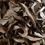 Kuivatatud, soolatud seened (foto #2)