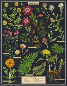 Puzzle Vintage Puzzle Herbaarium, 1000tk (3 foto / 4)