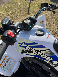 Laste ATV Pentora 110 (5 foto / 9)