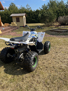 Laste ATV Pentora 110 (8 foto / 9)