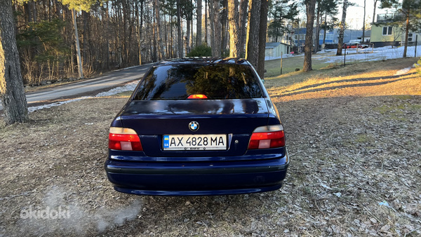 BMW 5 e39 (foto #5)