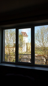 Koidula tn 2, Vanalinna, Narva, Ida-Virumaa (4 foto / 7)
