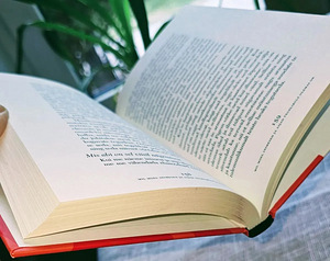 Tema Pühadus dalai-laama "Kuidas näha enda tõelist olemust?" (2 foto / 3)