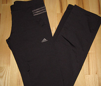 Тренировочные брюки Adidas