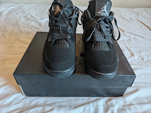 Uued Jordan 4 Black Cat (3 foto / 9)
